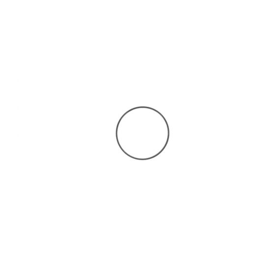 SATA® Sealing Ring